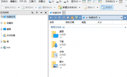 Directory Opus(文件管理器专业版) Pro v13.20 安装版 & 绿色版