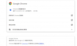 Google Chrome 123.0.6312.123便携增强版