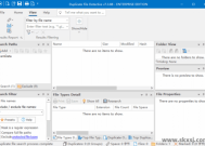 Duplicate File Detective(重复文件查找工具) v7.4.69 便携版